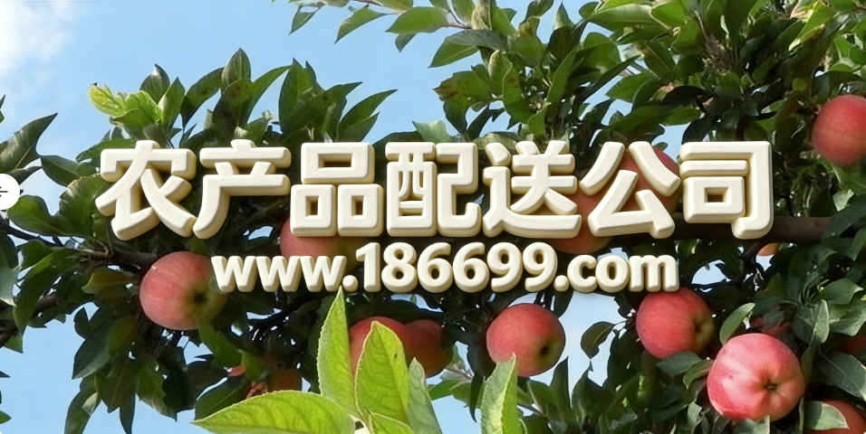 全球蘋果種植面積和產(chǎn)量最多的國家是哪里？