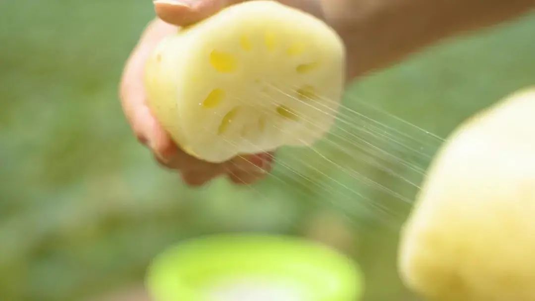 1770103263511556.jpg 藕.jpg