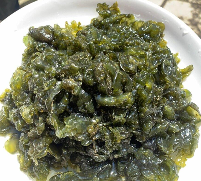 地皮菜:雨后才有的特產(chǎn),吃的是山野的饋贈(zèng)