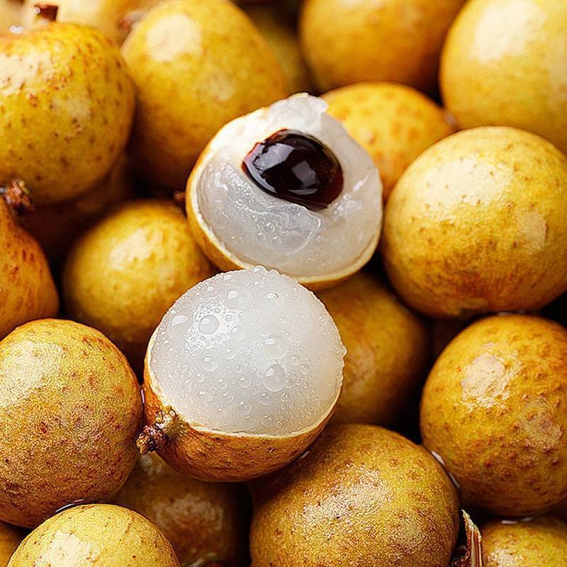 ?桂圓:滋補(bǔ)養(yǎng)生的甜蜜果實(shí)